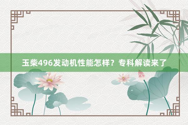 玉柴496发动机性能怎样？专科解读来了
